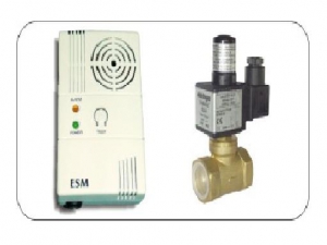 SISTEM ESM